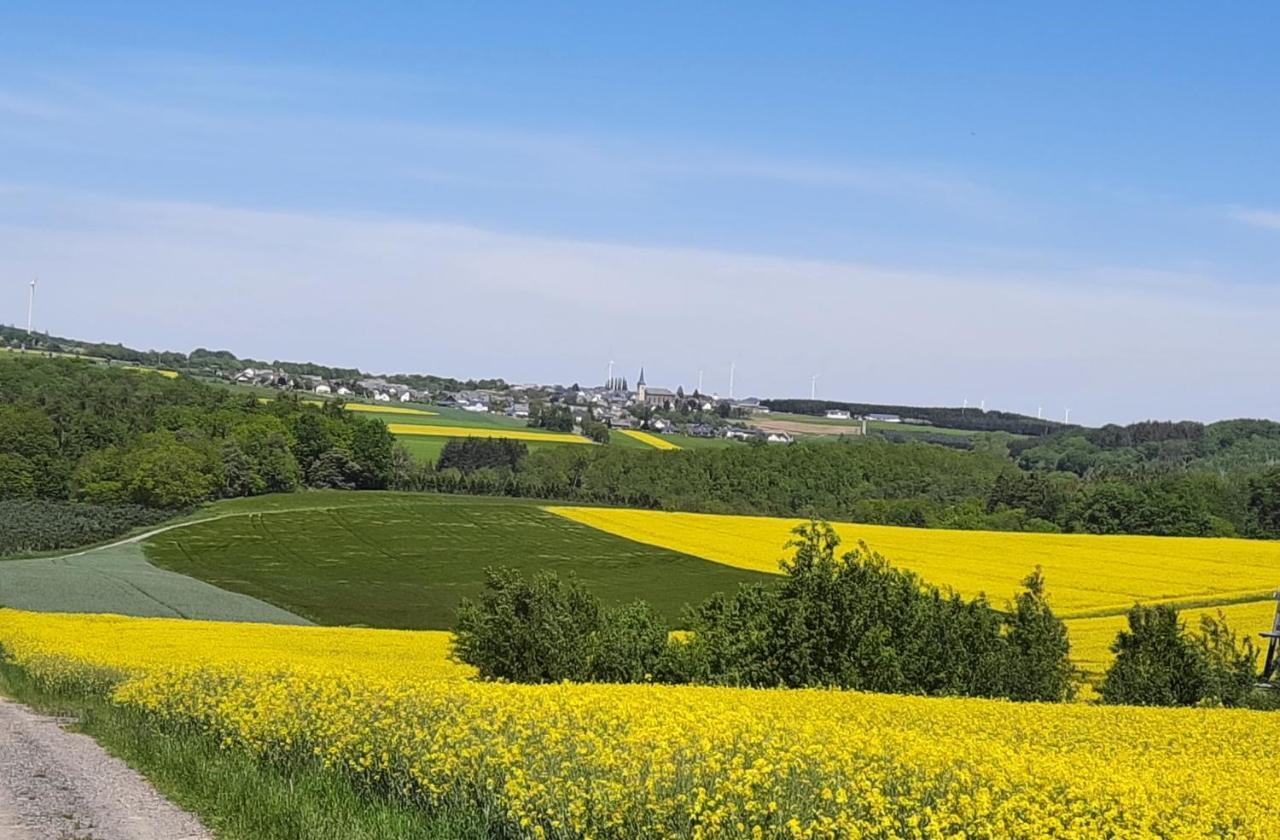 Kleine-Eifel-Auszeit Apartment Hambuch ภายนอก รูปภาพ